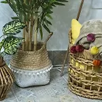 Apartament U Lagartu *