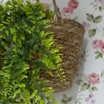 Apartament U Lagartu *
