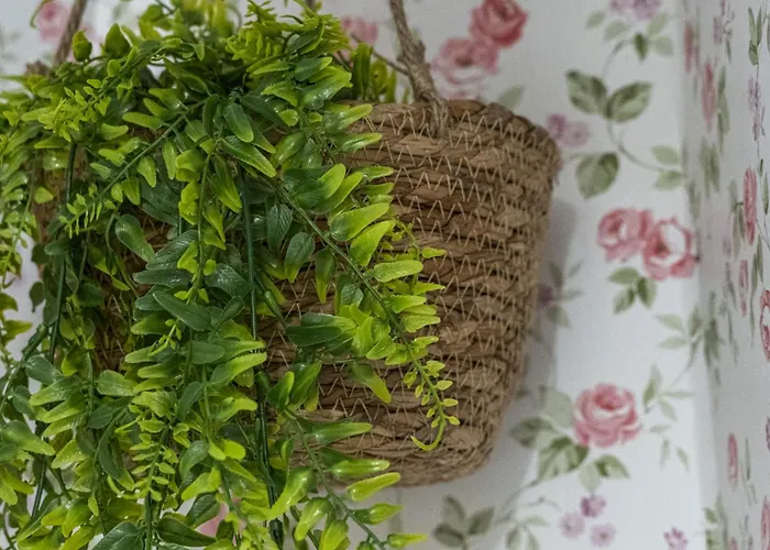 Apartment U Lagartu *